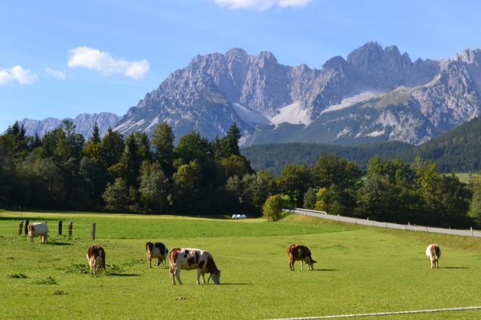 Автопутешествие или 22 причины для того, чтобы проехать по Австрии