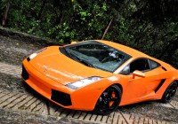 В Кейптауне сгорел Lamborghini Murcielago Roadster