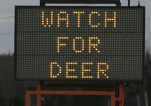 В Канаде для водителей установили детектор оленей