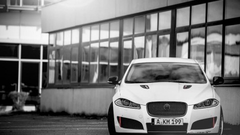 Американское ателье “разогрело” Jaguar XF